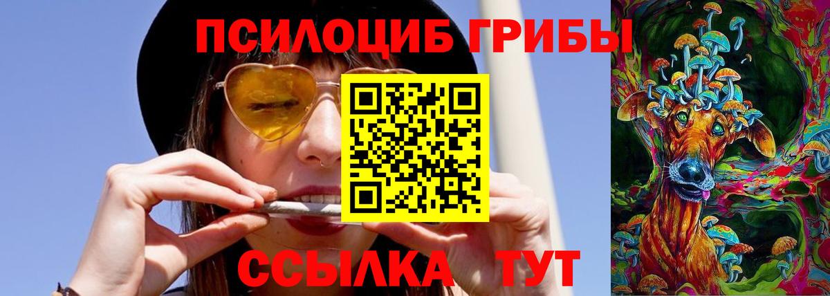 Псилоцибиновые грибы мицелий Гудермес