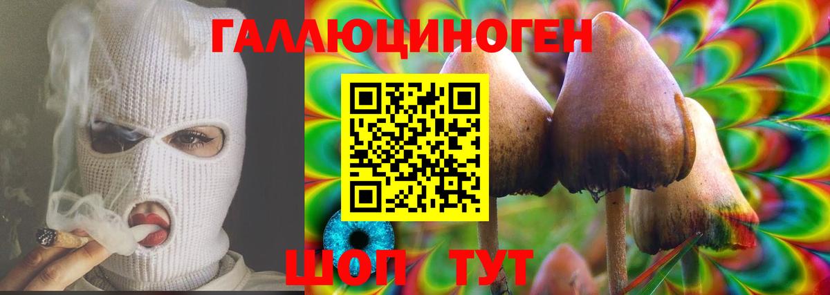  Кокаин Гудермес