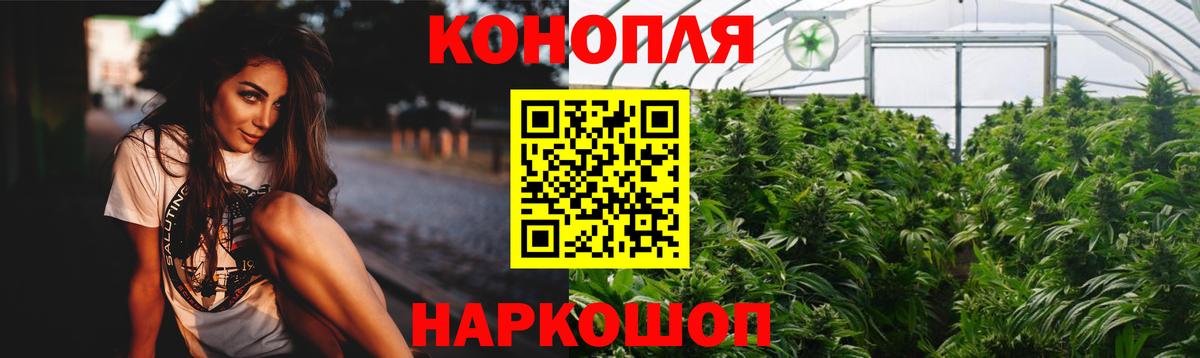 Каннабис SATIVA & INDICA Гудермес